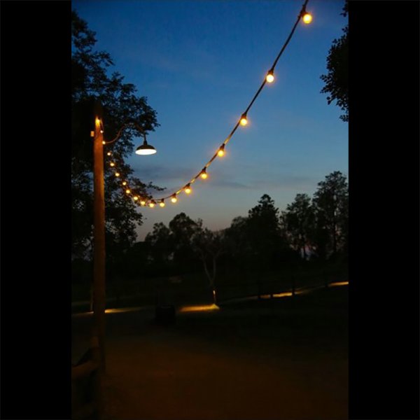 画像5: TMB ProTesterFirefly Festoon Lighting（ティーエムビー プロテスターファイヤーフライ フェストゥーンライティング） (5)