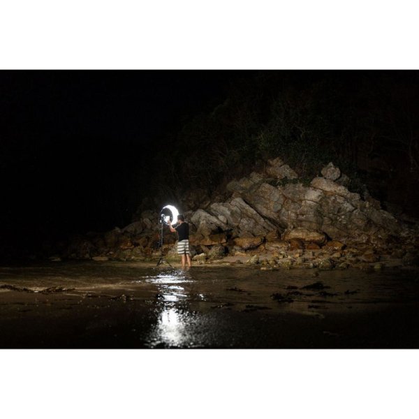 画像11: Aputure ランタン スカート付（アプチャー） (11)