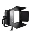 画像1: Aputure NOVA P300C用バーンドア（アプチャー） (1)