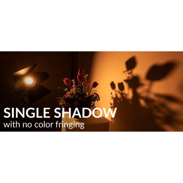 画像5: Fiilex Q8 COLOR（フィーレックス） (5)