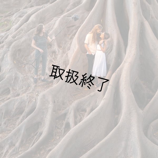 画像6: litra LitraProソフトボックス（リトラ） (6)