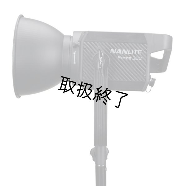 画像2: NANLITE Forza 300 LED Monolight（ナンライト フォーザ） (2)