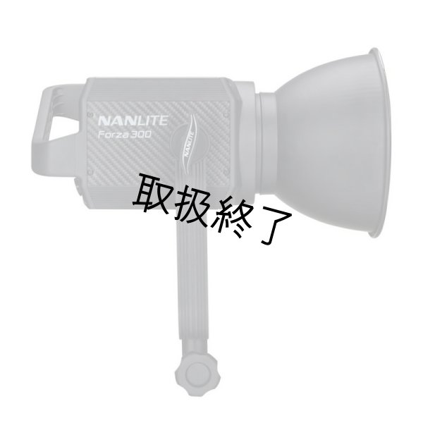 画像3: NANLITE Forza 300 LED Monolight（ナンライト フォーザ） (3)