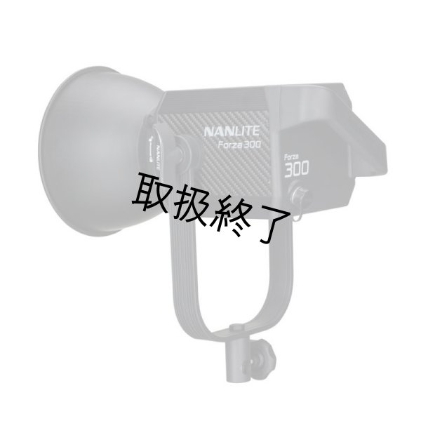 画像4: NANLITE Forza 300 LED Monolight（ナンライト フォーザ） (4)