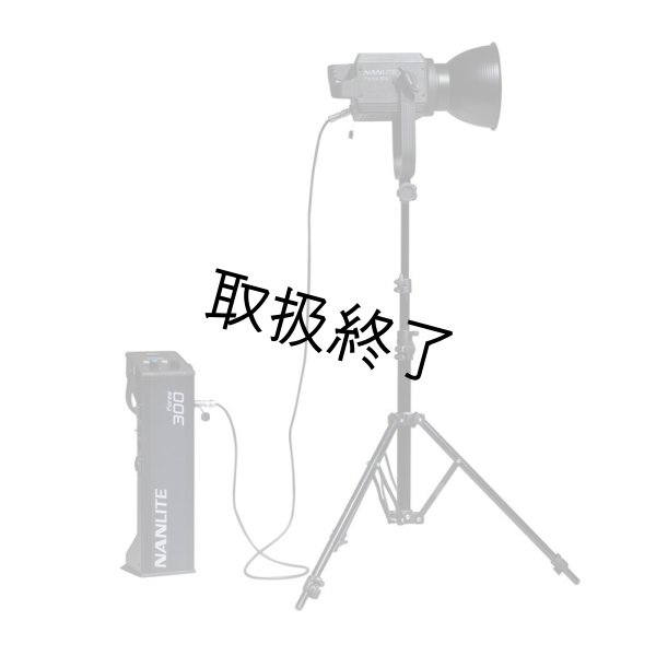 画像5: NANLITE Forza 300 LED Monolight（ナンライト フォーザ） (5)