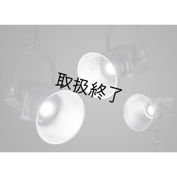 画像10: NANLITE Forza 300 LED Monolight（ナンライト フォーザ） (10)