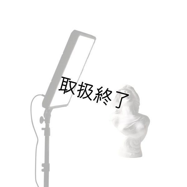 画像3: NANLITE Compac 68B Adjustable Bicolor Slim Soft Light Studio LED Panel（ナンライト コンパック） (3)