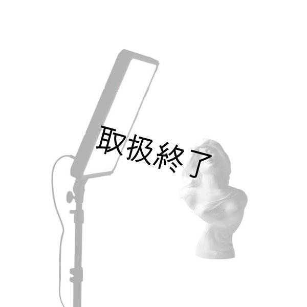 画像4: NANLITE Compac 68B Adjustable Bicolor Slim Soft Light Studio LED Panel（ナンライト コンパック） (4)