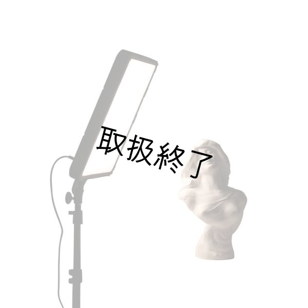 画像5: NANLITE Compac 68B Adjustable Bicolor Slim Soft Light Studio LED Panel（ナンライト コンパック） (5)