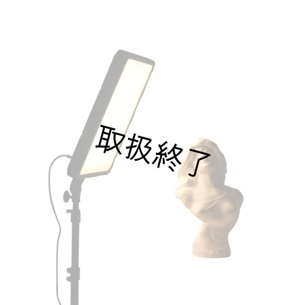 画像6: NANLITE Compac 68B Adjustable Bicolor Slim Soft Light Studio LED Panel（ナンライト コンパック） (6)