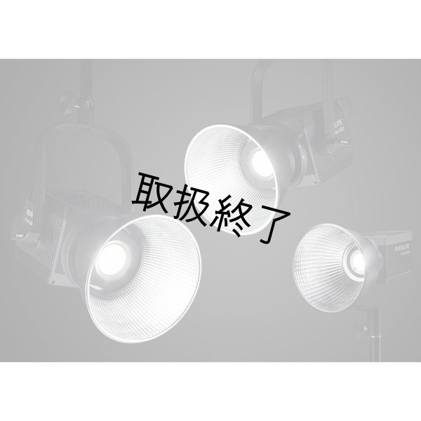 画像4: NANLITE Forza 500 LED Monolight（ナンライト フォーザ） (4)