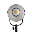 画像3: NANLITE Forza 200 LED Monolight（ナンライト フォーザ） (3)