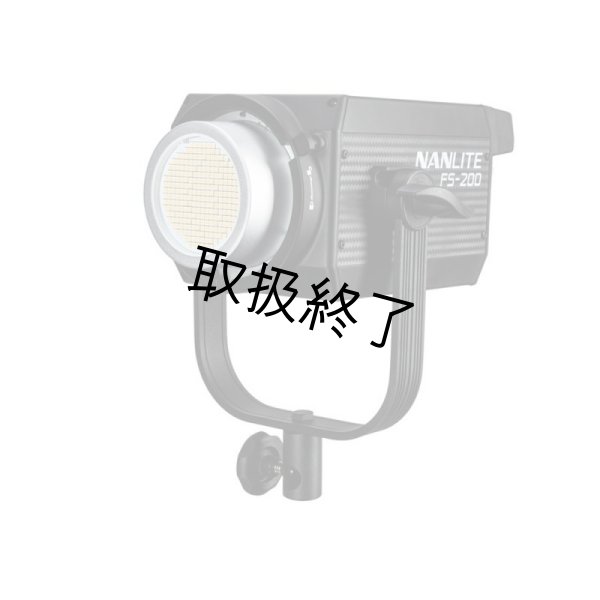 画像3: NANLITE FS-200 LED AC Monolight（ナンライト） (3)