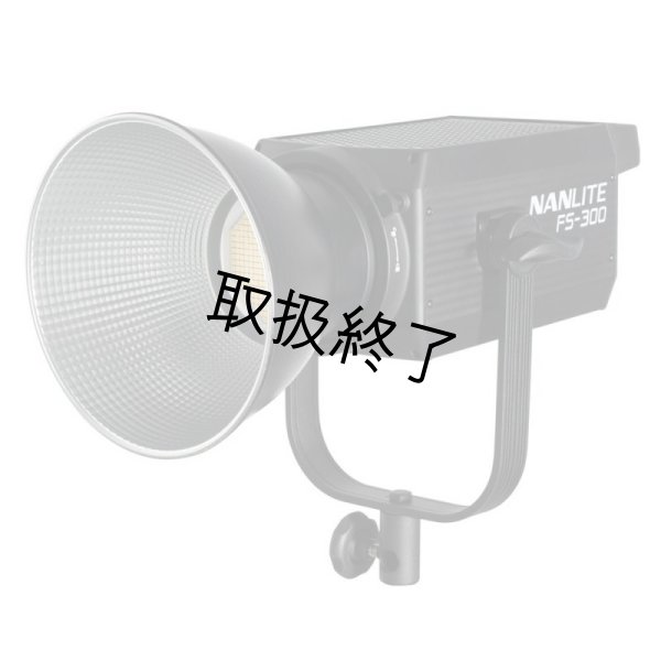 画像1: NANLITE FS-300 LED AC Monolight（ナンライト） (1)