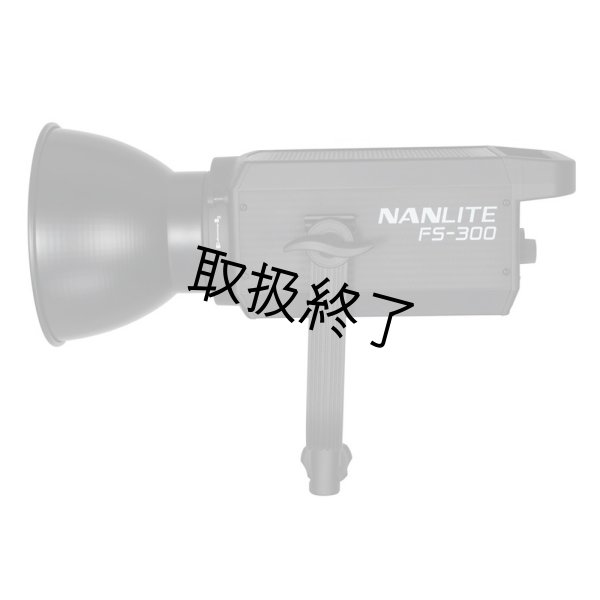 画像4: NANLITE FS-300 LED AC Monolight（ナンライト） (4)