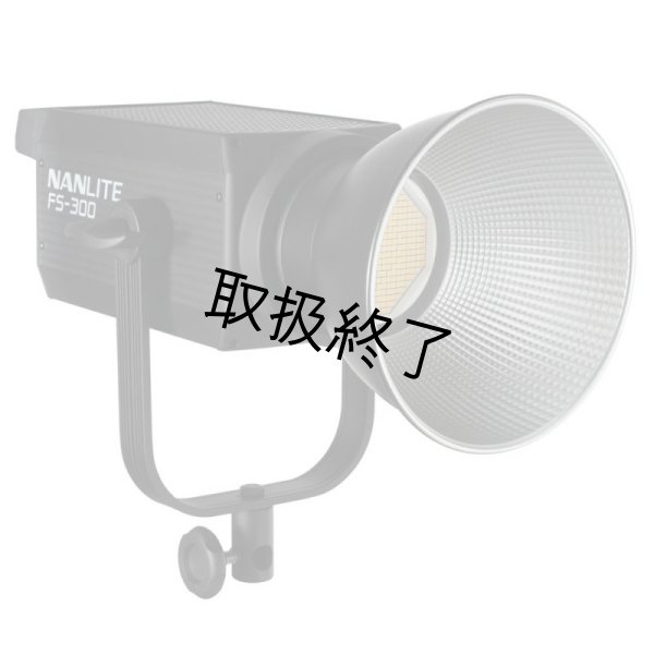 画像5: NANLITE FS-300 LED AC Monolight（ナンライト） (5)