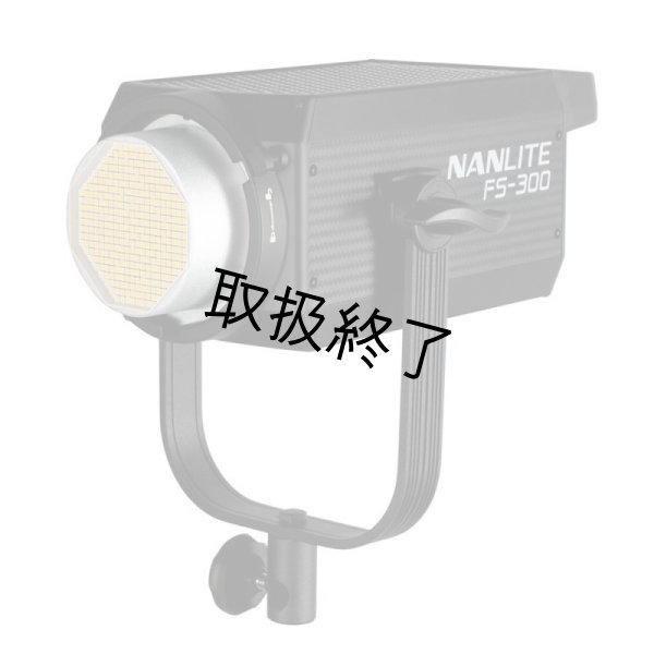 画像8: NANLITE FS-300 LED AC Monolight（ナンライト） (8)