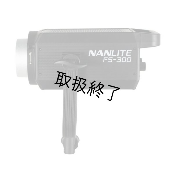 画像9: NANLITE FS-300 LED AC Monolight（ナンライト） (9)