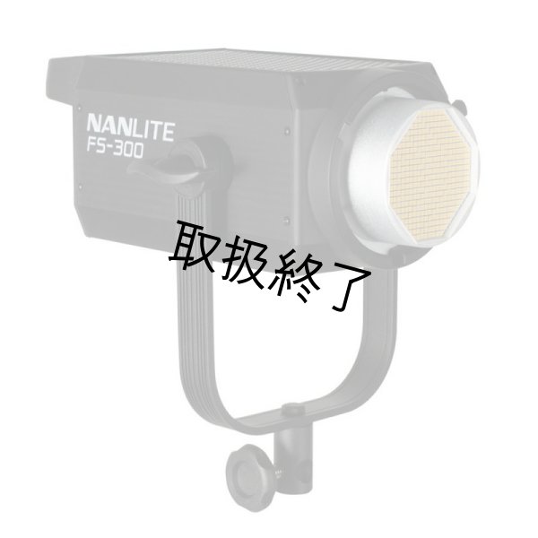 画像11: NANLITE FS-300 LED AC Monolight（ナンライト） (11)
