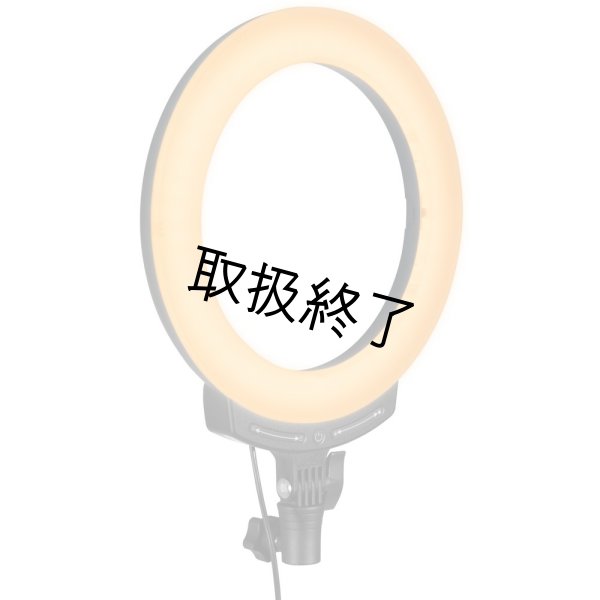 画像3: NANLITE Halo 10B Dimmable Bicolor USB 10in LED Ring Light With Smart Touch Control(ナンライト ハロ) (3)