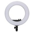 画像2: NANLITE Halo 18 Dimmable Adjustable Bicolor 18in LED Ring Light（ナンライト ハロ） (2)