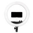 画像4: NANLITE Halo 14 Dimmable Adjustable Bicolor 14in LED Ring Light（ナンライト ハロ） (4)