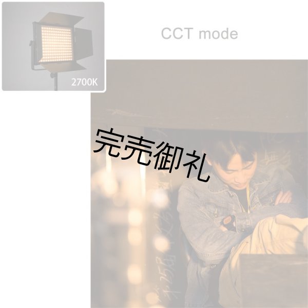 画像18: NANLITE MixPanel 60（ナンライト） (18)