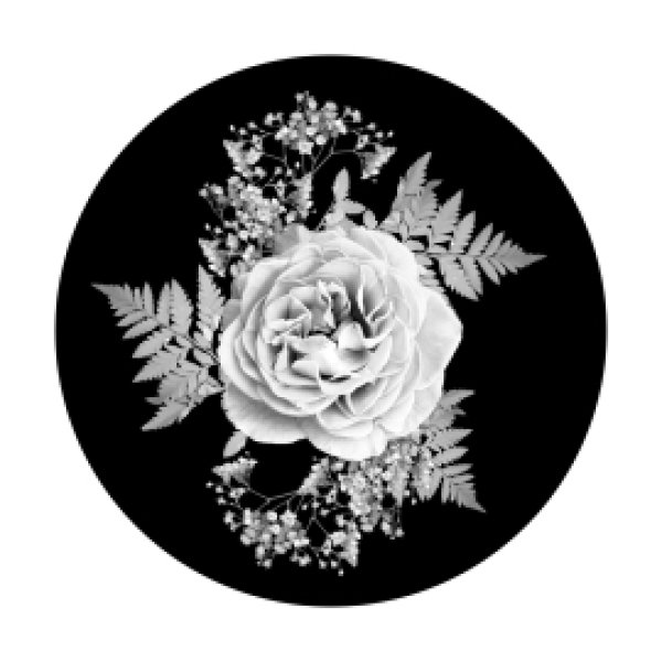 画像1: Apollo Rose Corsage SR-0074 (1)