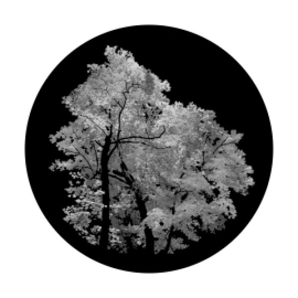 画像1: Apollo One, Two, Tree SR-1029 (1)