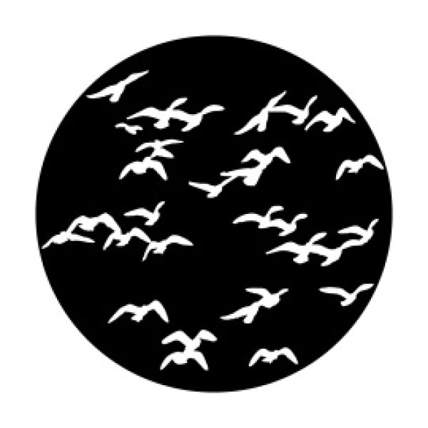画像1: Apollo Flock of Birds ME-1137 (1)