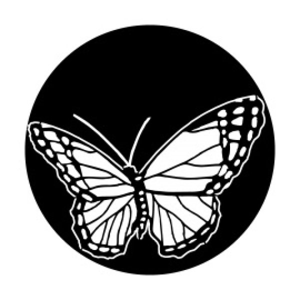 画像1: Apollo Butterfly ME-1160 (1)
