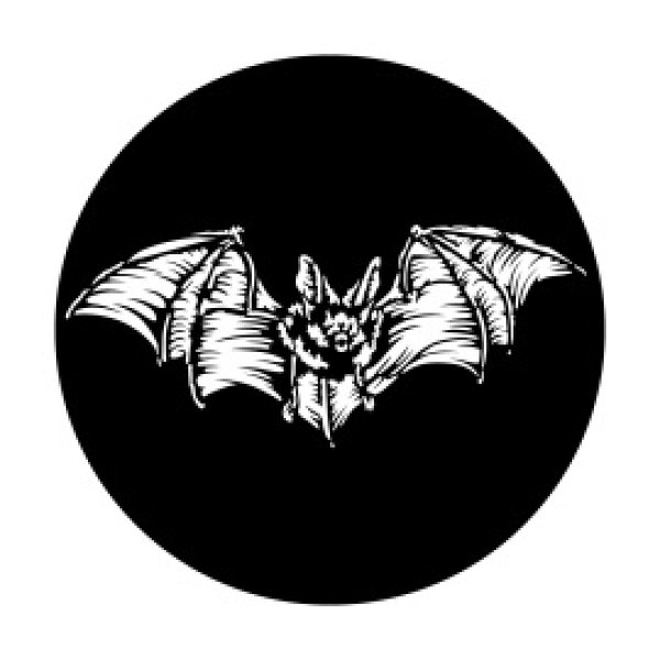 画像1: Apollo Scary Bat ME-3044 (1)