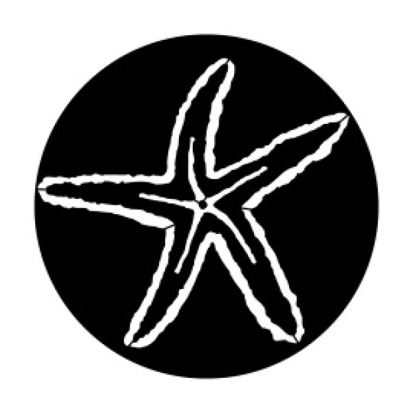 画像1: Apollo Sea Starfish ME-7005 (1)