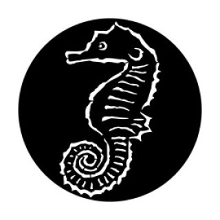 Apollo（アポロ）ゴボ【中古】 - 裏方屋ドットコム