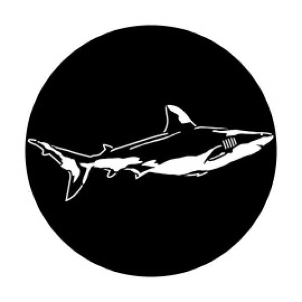 画像1: Apollo Sea Shark ME-7056 (1)
