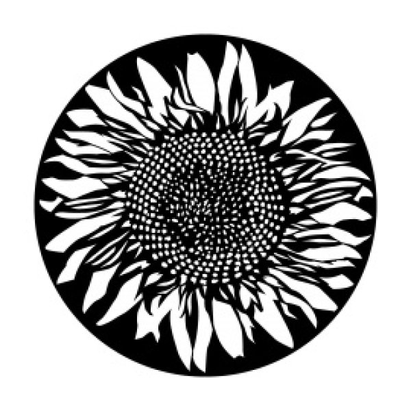 画像1: Apollo Sunflower ME-1167 (1)