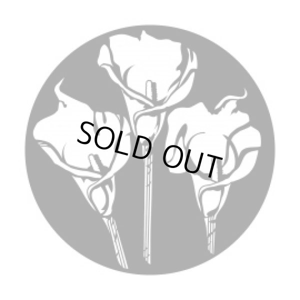 画像1: Apollo Calla Lily Trio ME-1185 (1)