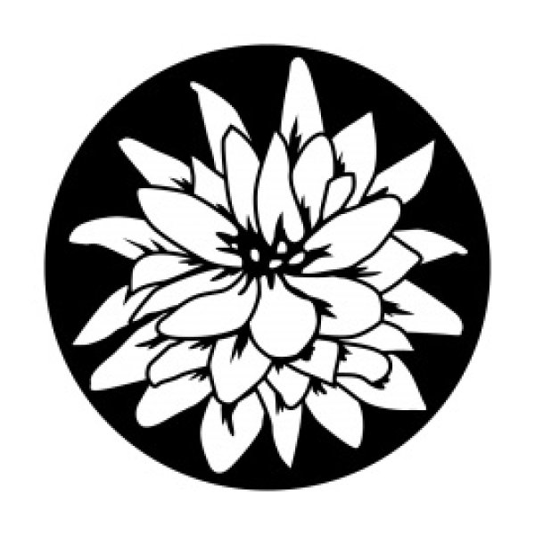 画像1: Apollo Flowering Lily ME-3161 (1)