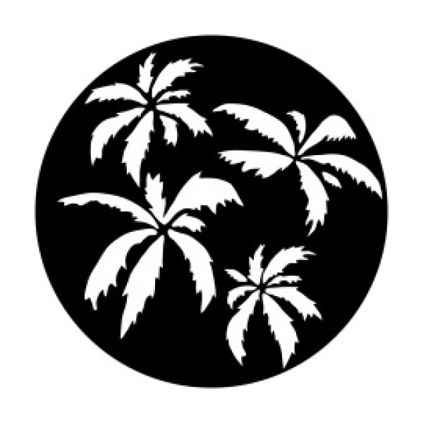 画像1: Apollo Palm Trees ME-3582 (1)