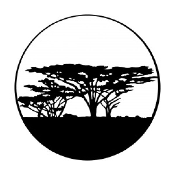 画像1: Apollo Trees - Africa ME-4117 (1)
