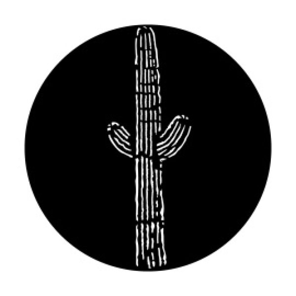 画像1: Apollo West Desert Cactus ME-7035 (1)