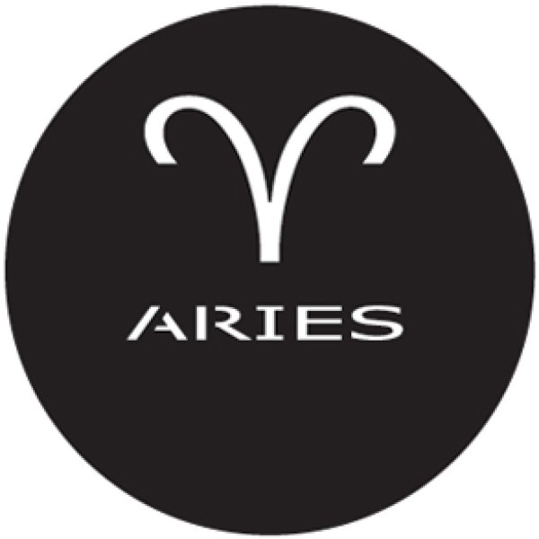 画像1: GONG 16033 ARIES (1)