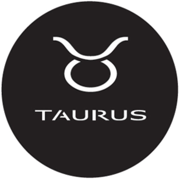 画像1: GONG 16034 TAURUS (1)