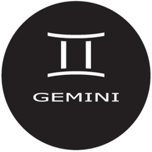 画像1: GONG 16035 GEMINI (1)