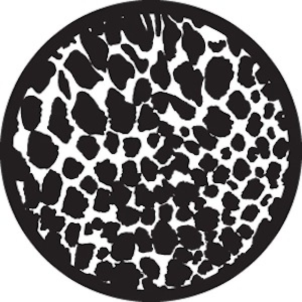 画像1: 81202 Leopard Print (1)