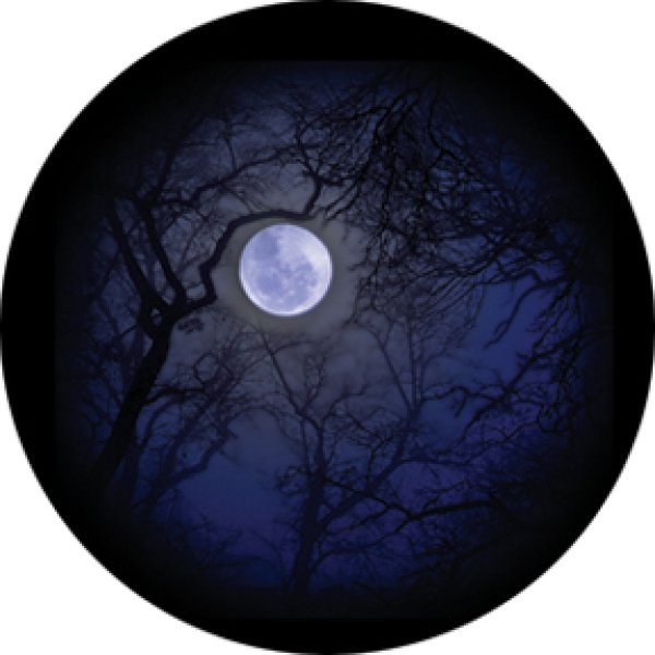 画像1: 86710 Howling Moon Lisa Cuscuna (1)