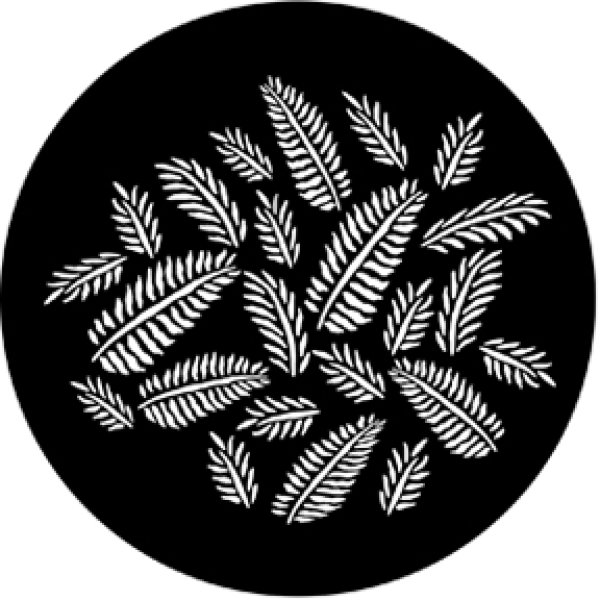 画像1: 77593 (DHA# 593) Ferns (1)