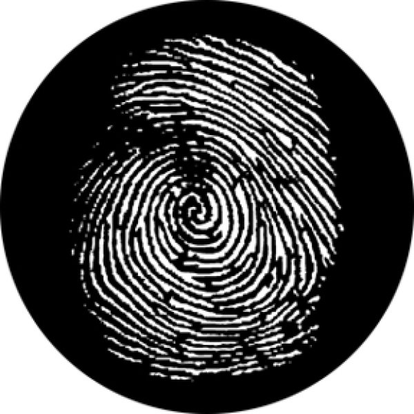画像1: 76614 (DHA# 6614) Fingerprint (1)