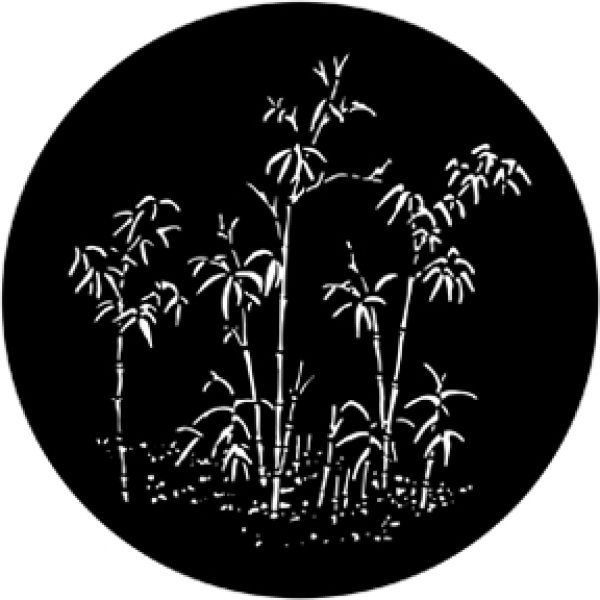 画像1: 77781
Bamboo
Tom Skelton (1)
