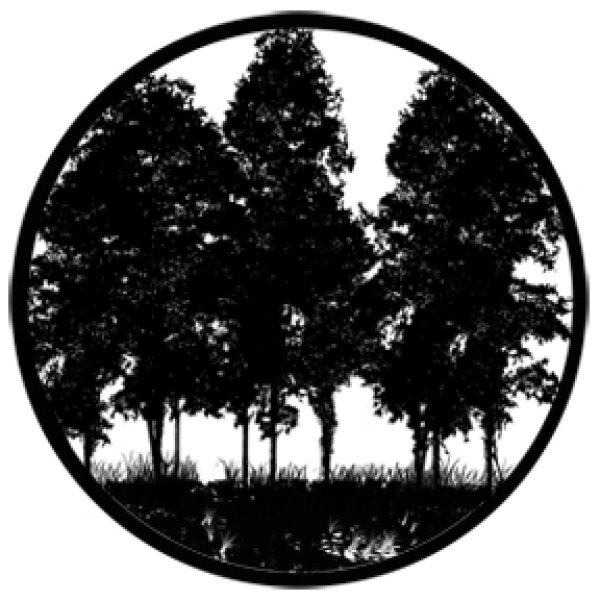 画像1: 78432
Tree Silhouette 2
David Sumner (1)